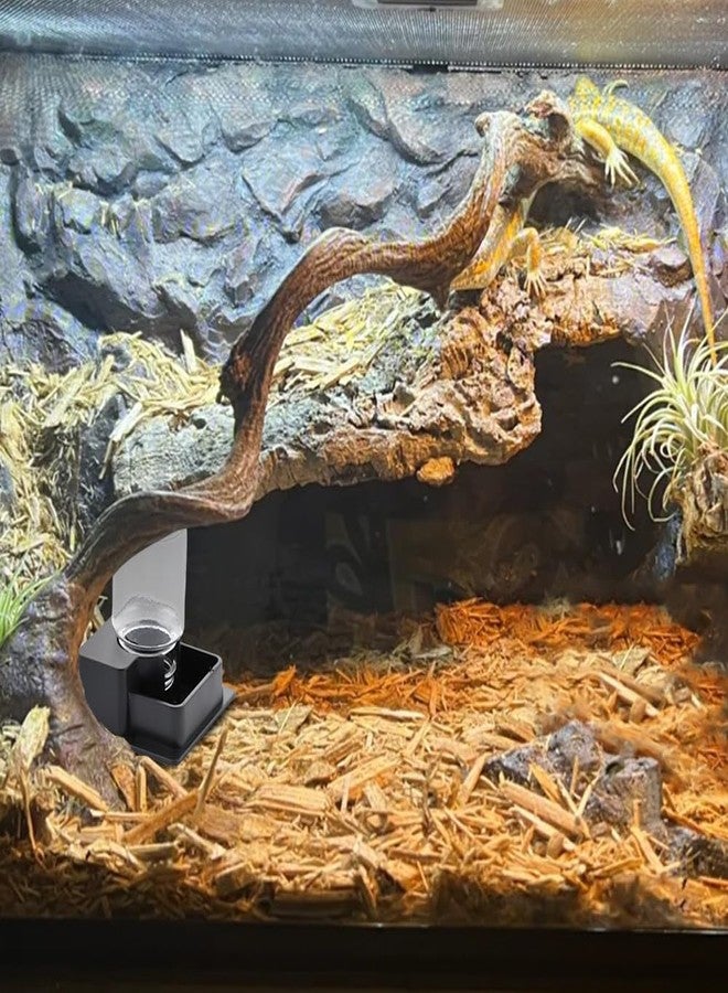 DQITJ 1 Pack Small Reptile Water Bowl Automatic Water Dispenser for Reptile Gecko Lizard Terrarium Bowl Feeder (Black) - Image 3